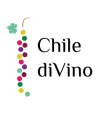 Viña Chile Divino