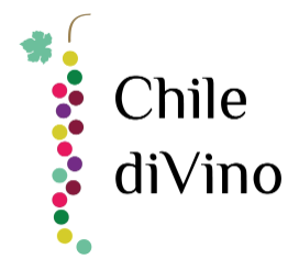 Viña Chile Divino