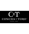 Viña Concha y Toro